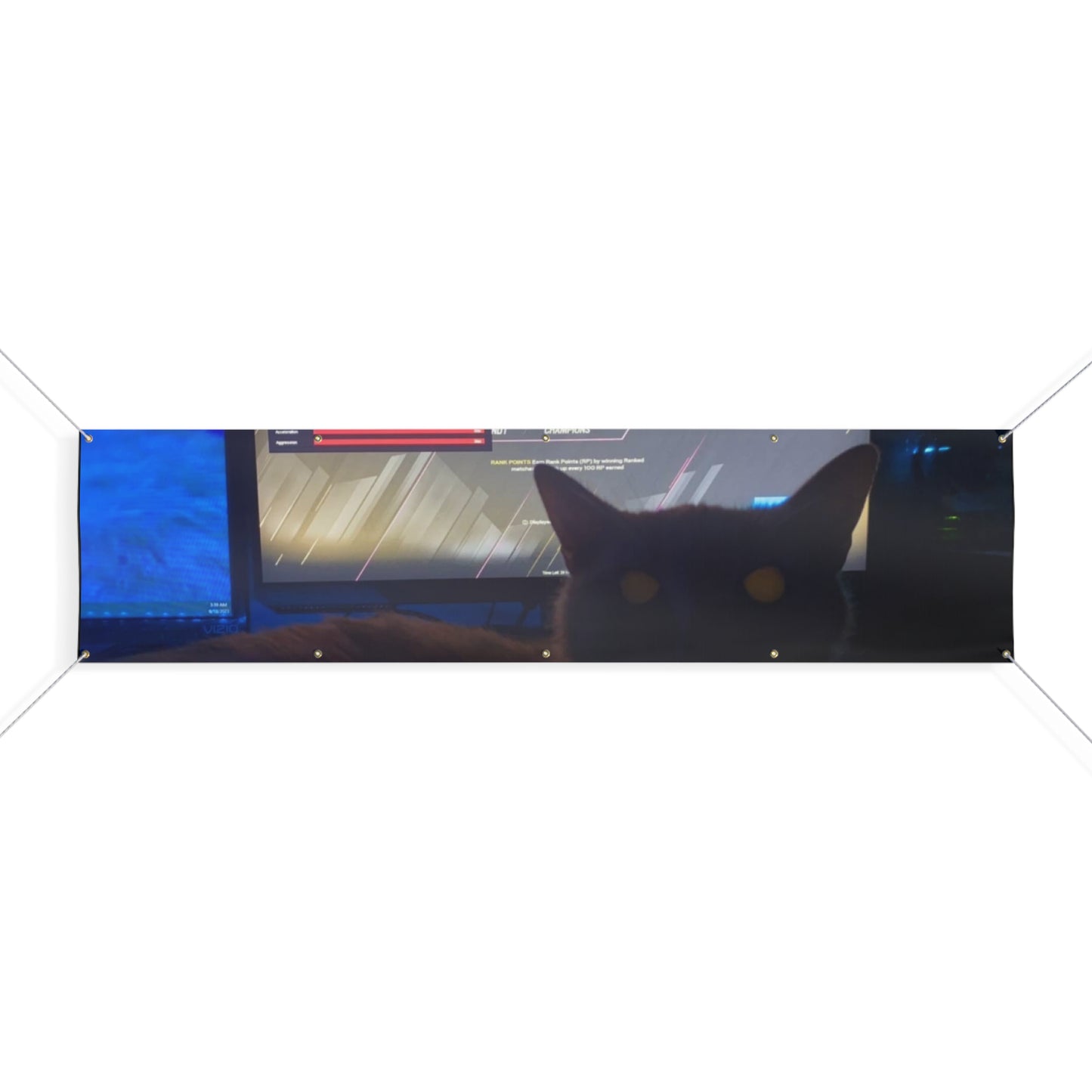 Matte Banner